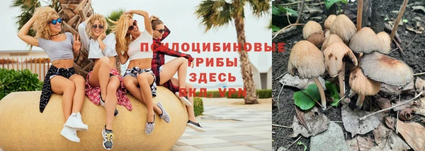 каннабис Арсеньев