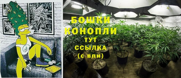 сатива Армянск
