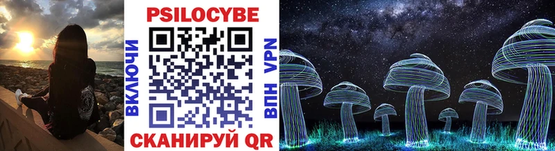 МЕГА онион  Канаш  Галлюциногенные грибы Psilocybe 